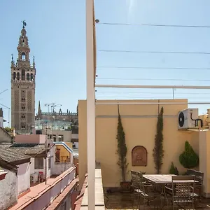 Botanic Duplex Terrace 5 Pax Appartement Séville