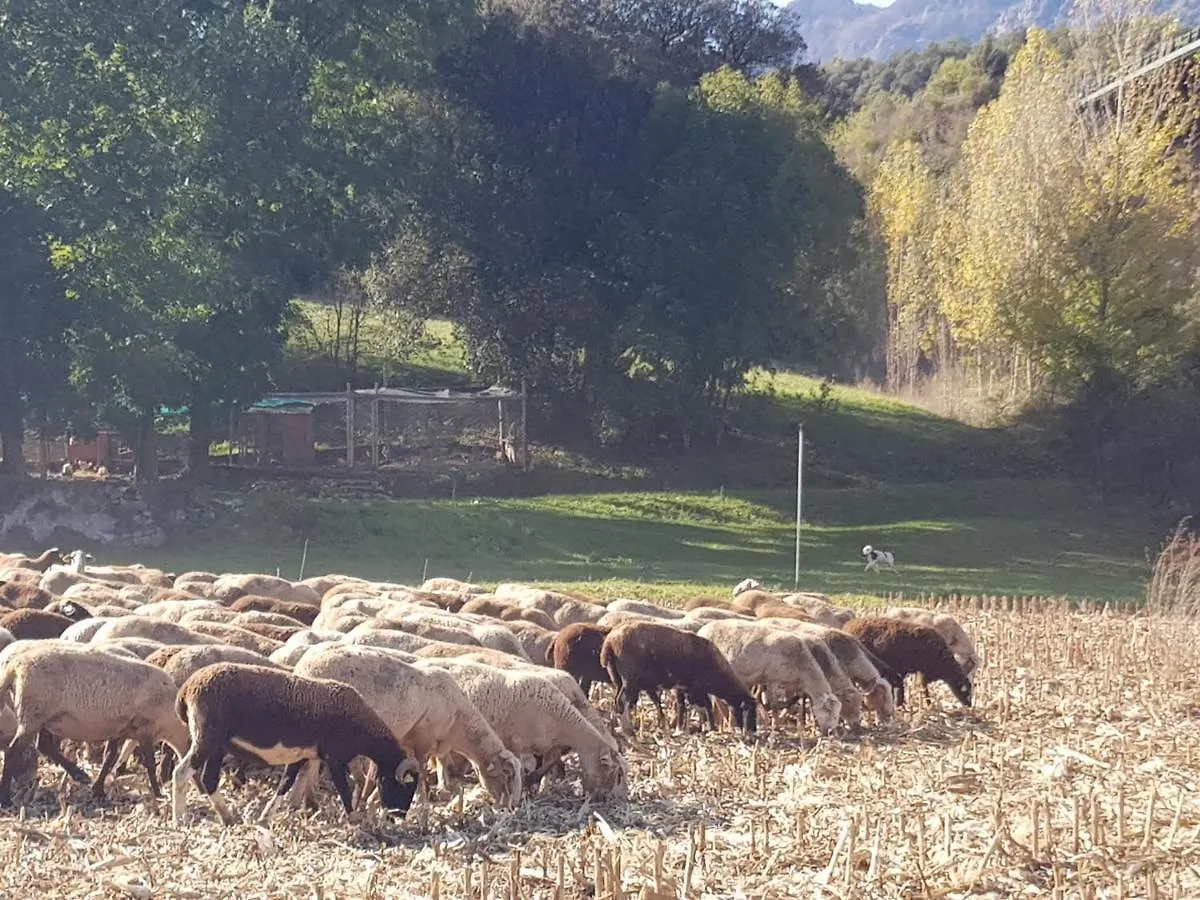 Country house Mas Rubio Guest House Joanetes